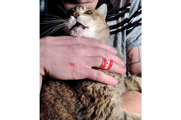 8 Drops You Don't Want to Miss This Week