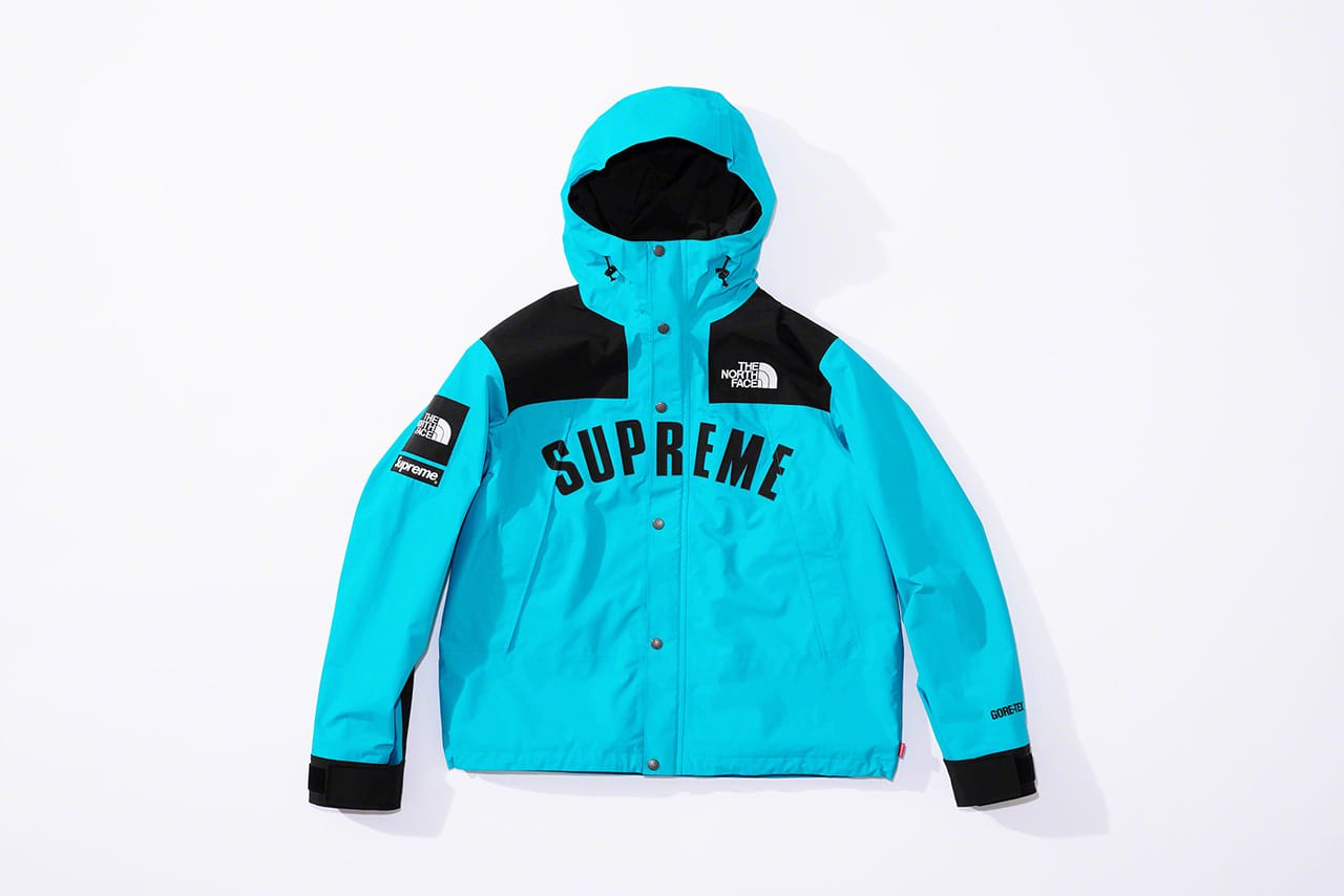 supreme the north face ss19