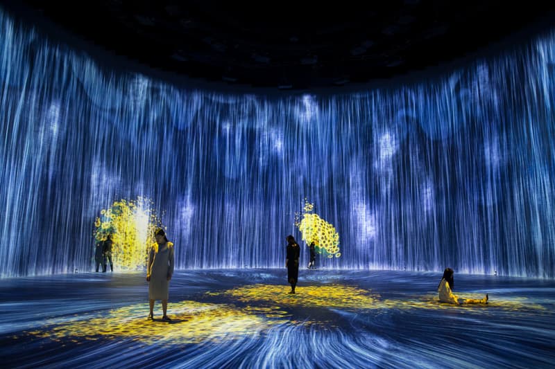 teamlab tank shanghai immersive installation artworks design studio 