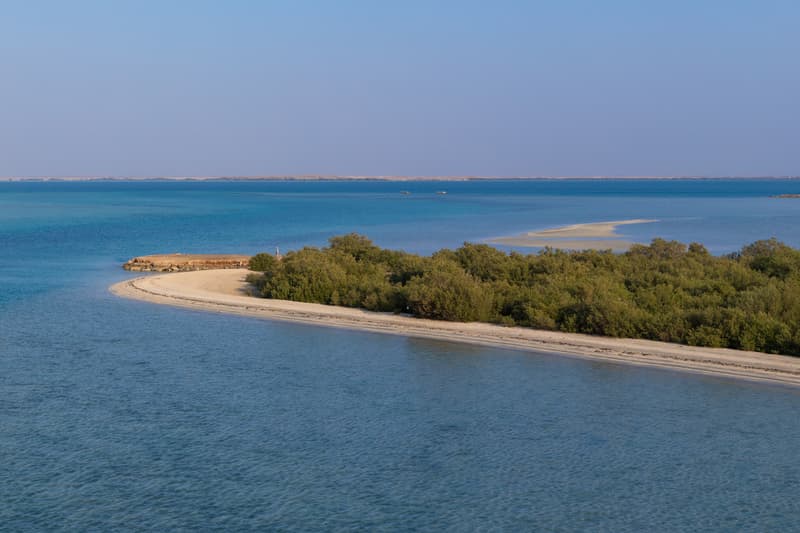 Millionaire Planning 100-Person Battle Royale Event private island hunger games death battle
