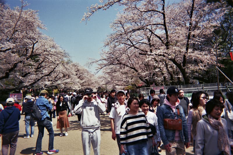 Cherry LA Tokyo Photo Diary Disposable Camera Joseph Perez David Levy Founder Designer United Arrows pop up