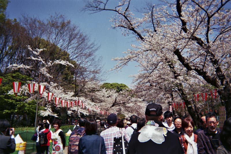 Cherry LA Tokyo Photo Diary Disposable Camera Joseph Perez David Levy Founder Designer United Arrows pop up