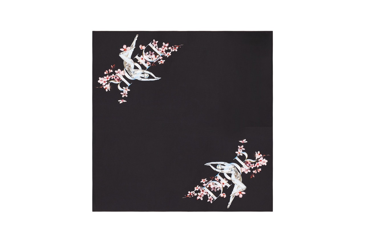 dior mens fall winter 2019 exclusive collection launch website capsule release hajime sorayama art prints