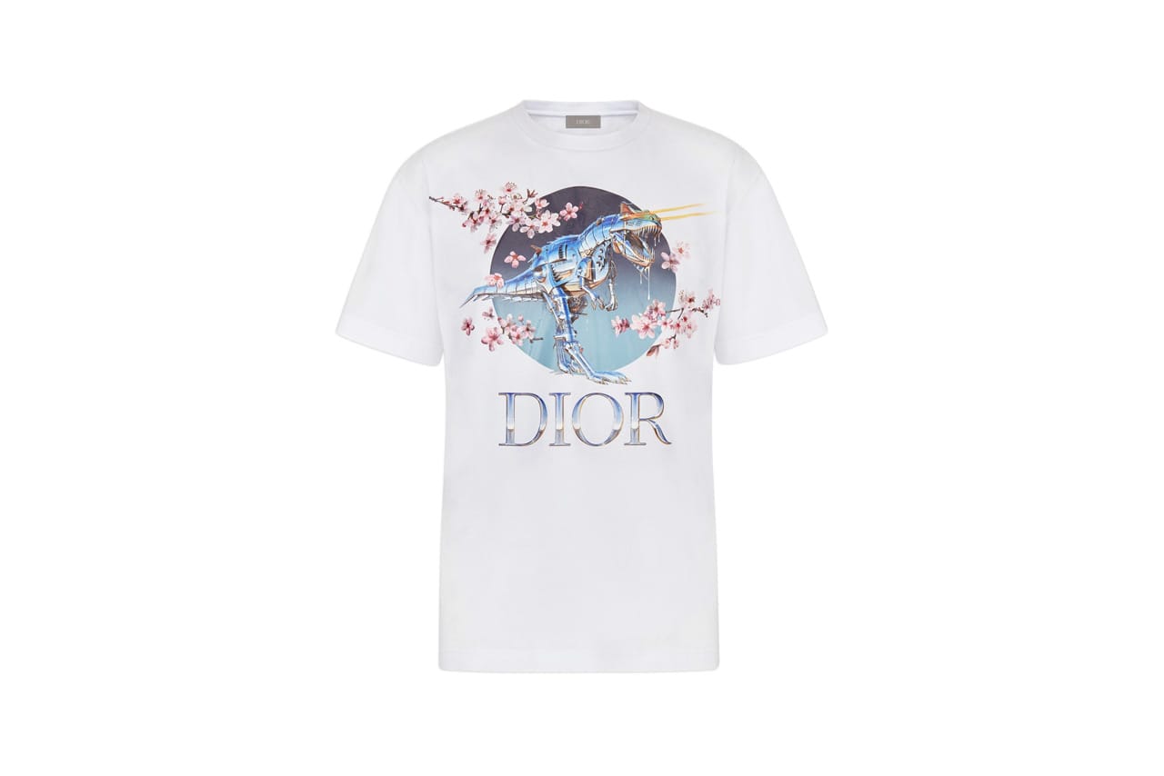 Buy Dior x Hajime Sorayama \