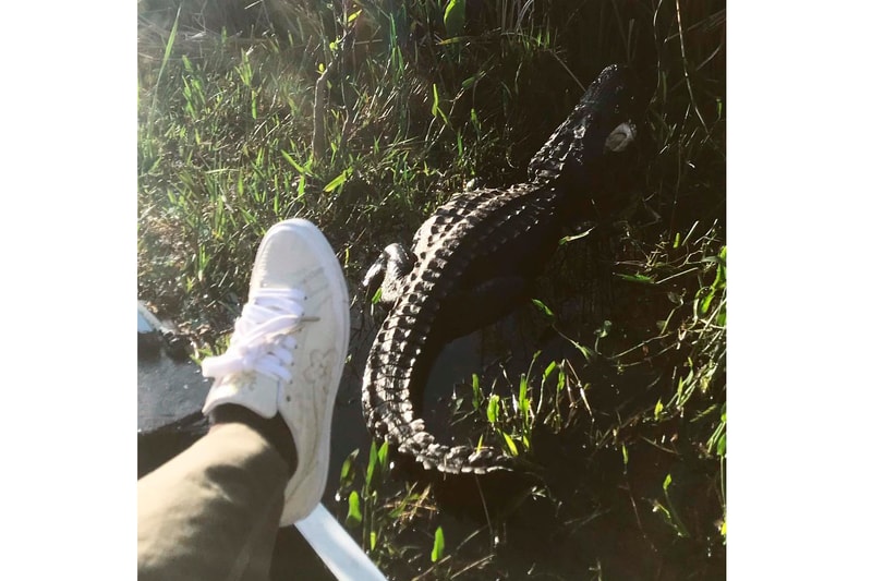 GOLF le FLEUR* x Converse "Faux Skin" Teasers tyler the creator golf wang sneakers alligator skin crocodile 