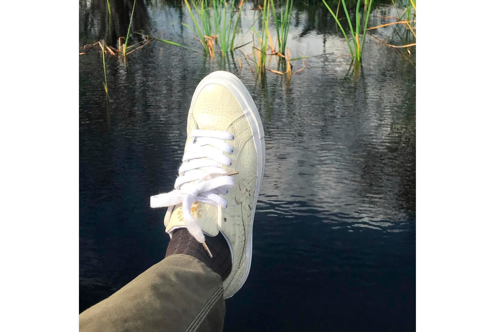 converse alligator shoes