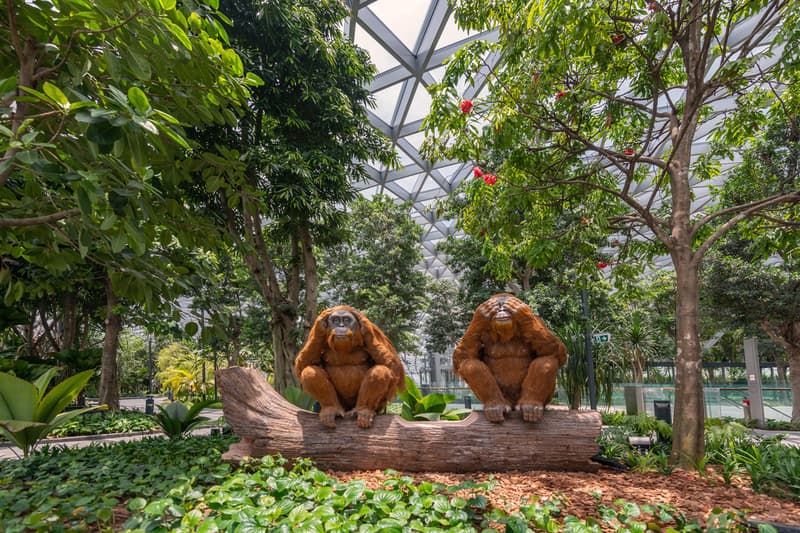 jewel changi airport singapore worlds tallest indoor waterfall grand opening 2019 