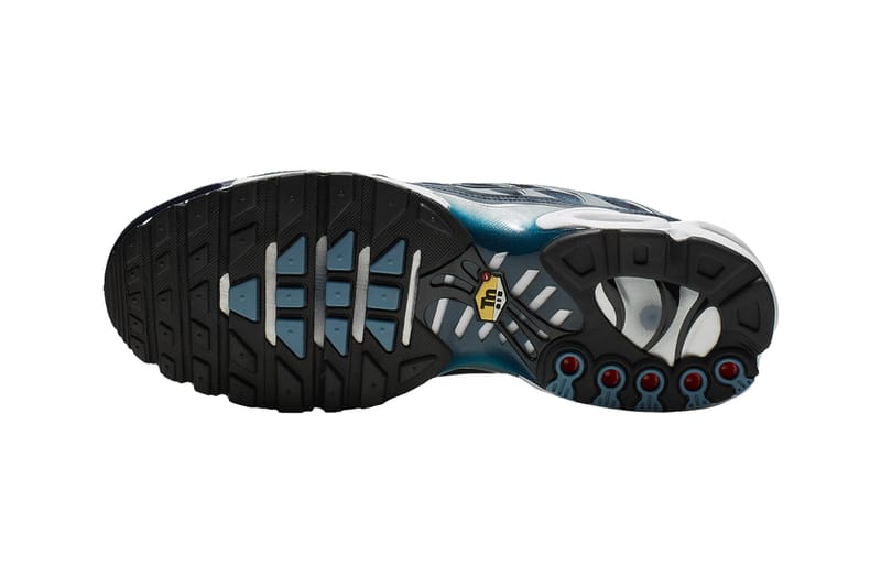 nike air max plus palm pack