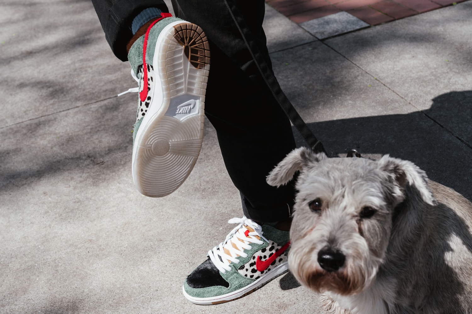 Nike SB Dunk High Walk the Dog Closer Look 4/20 Release HYPEBEAST