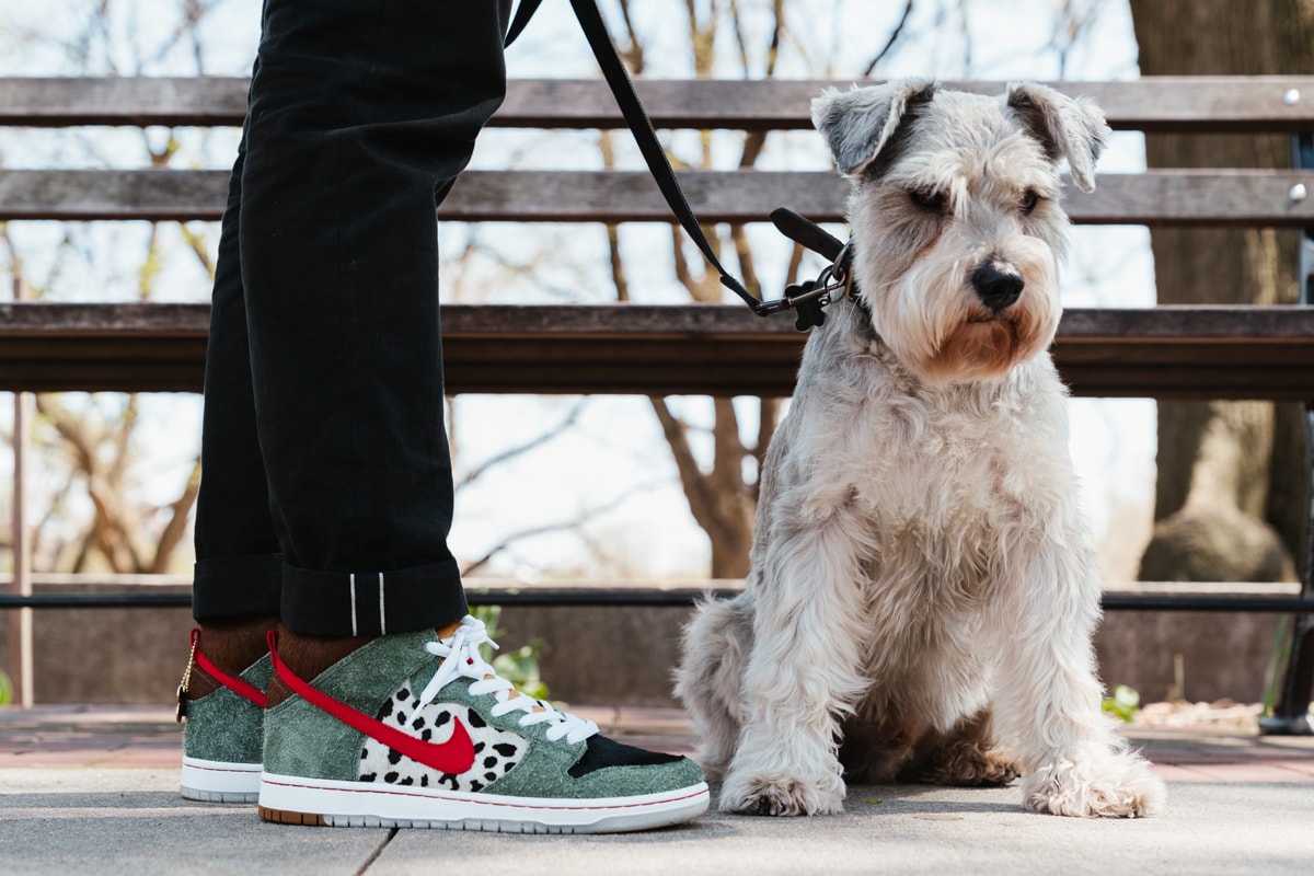Nike SB Dunk High Walk the Dog Closer Look 4/20 Release HYPEBEAST