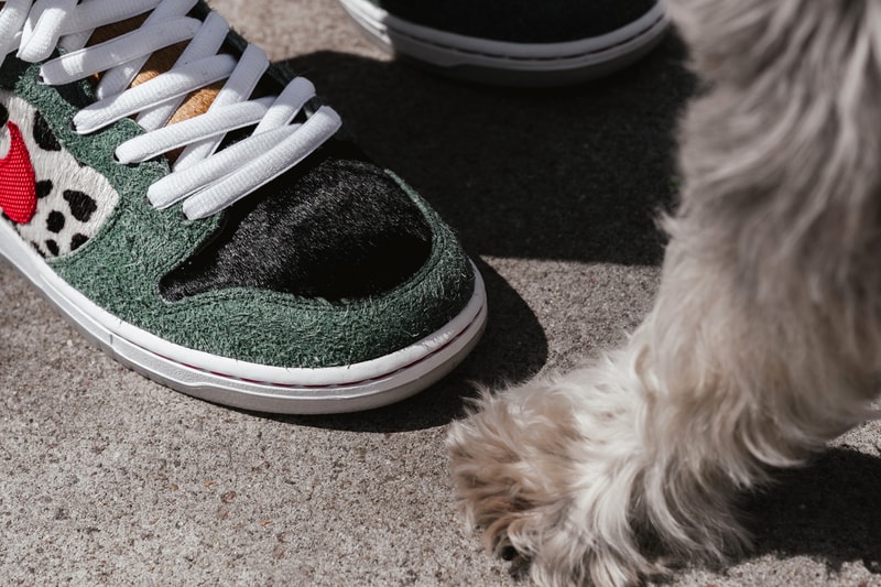 Nike SB Dunk High Walk the Dog Closer Look 4/20 Release HYPEBEAST