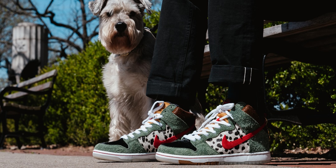Nike sb dog walker leash Clearance