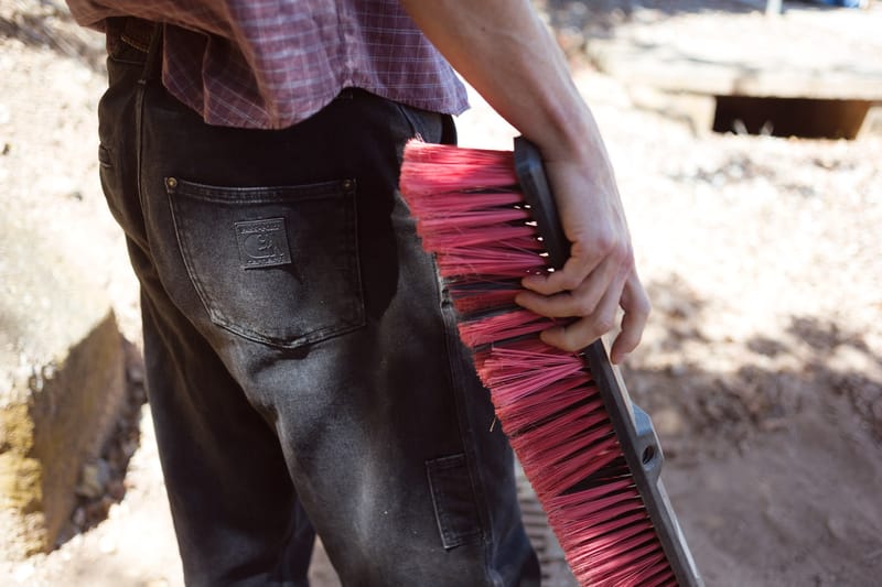 carhartt passport pants