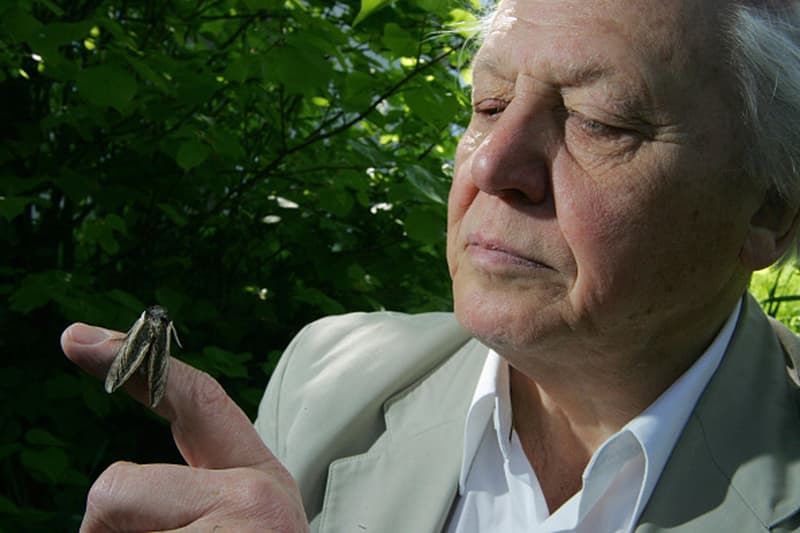 Sir David Attenborough