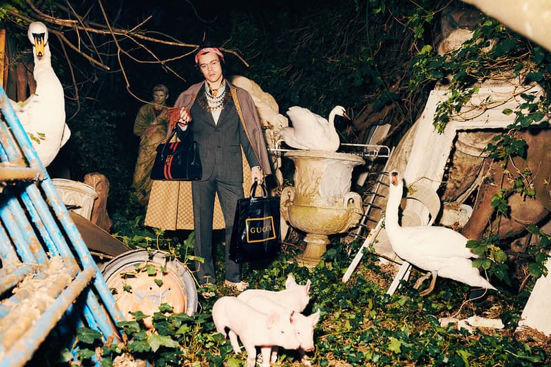 Gucci Pre-Fall 2019 Campaign Harry Styles Tailoring Harmony Korine Photography Creative Director Alessandro Michele Formalwear Suits