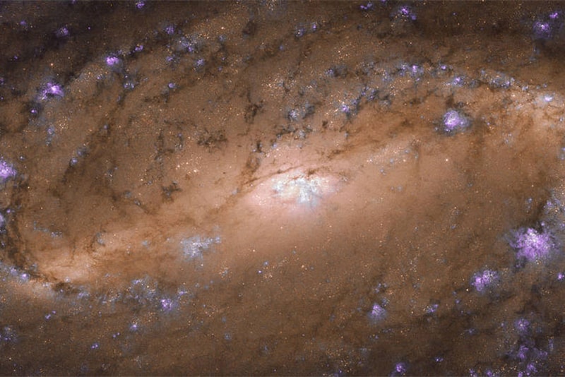 Hubble Space Telescope Spiral Galaxy NGC 2903