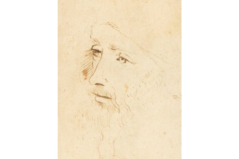 Rare Leonardo Da Vinci Portrait Discovered by Britain's Royal Collection