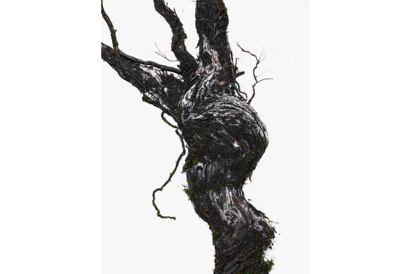 vik muniz shared roots photographs frieze new york ruinart artwork installations