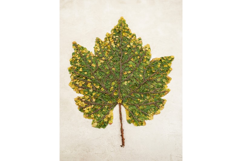 vik muniz shared roots photographs frieze new york ruinart artwork installations