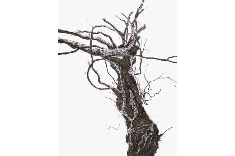 vik muniz shared roots photographs frieze new york ruinart artwork installations