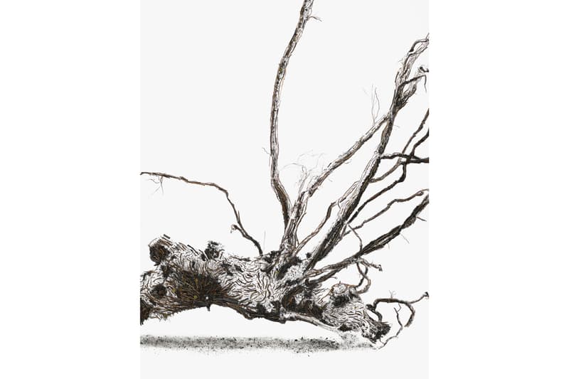 vik muniz shared roots photographs frieze new york ruinart artwork installations