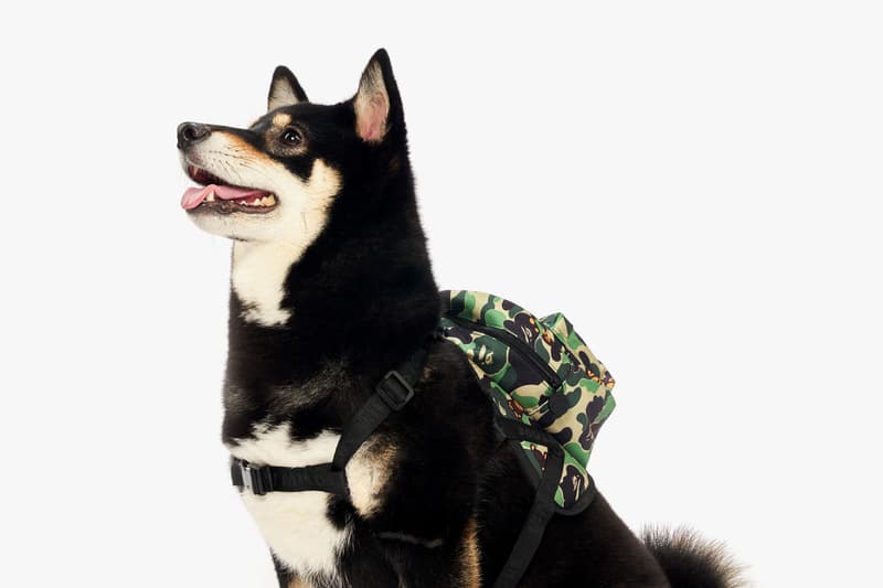 Baby Milo Pet Collection Spring/Summer 2019 lookbooks dogs bape a bathing ape bowls leashes plush toys ss19 hong kong it store