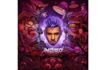 Chris Brown's LP 'Indigo' Is Filled with Heavy Bangers and R&B Slow Jams