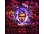 Chris Brown's LP 'Indigo' Is Filled with Heavy Bangers and R&B Slow Jams