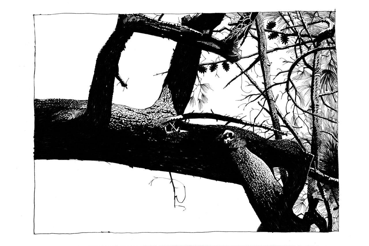 gorillaz co creator jamie hewlett's the suggestionists lazinc gallery london exhibition