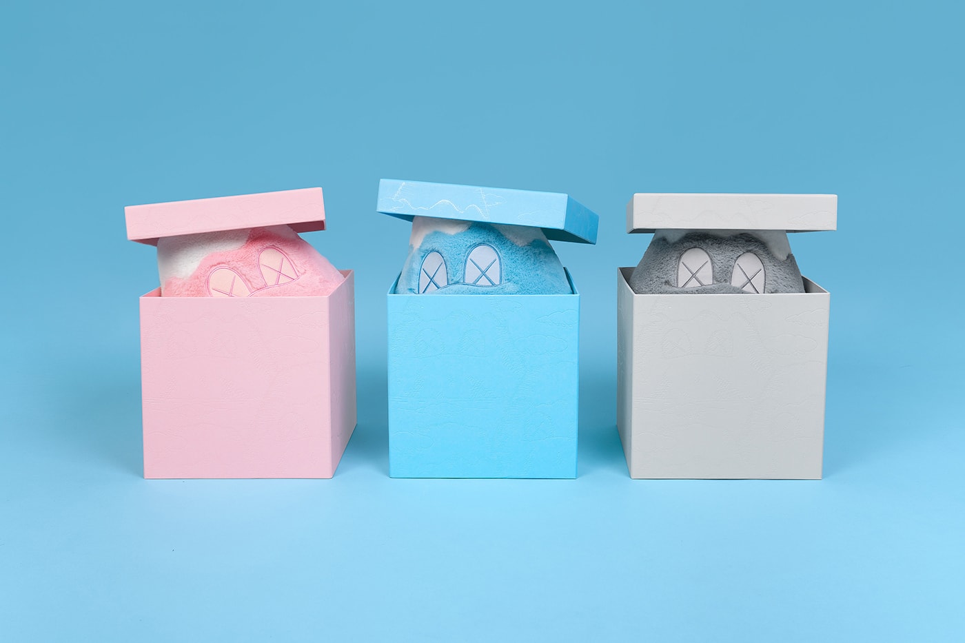 KAWS HOLIDAY Japan Camping Exhibition Mount Fuji