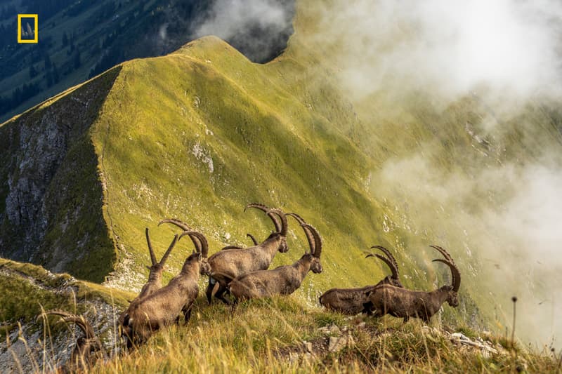 national geographic 2019 travel photo contest winners photographer 