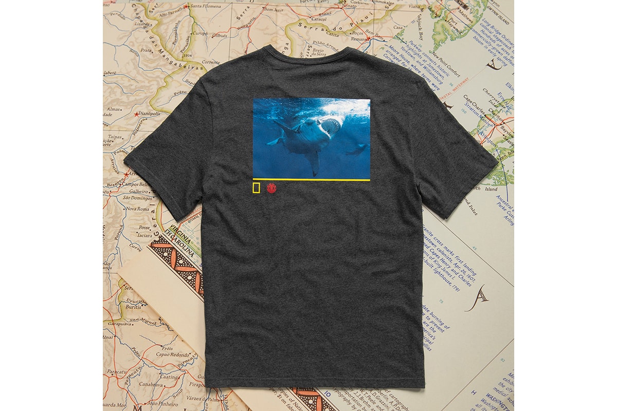 National Geographic Element Fall Winter 2019 Collection fall winter tee skateboard deck crew neck photography photographs elements earth wind fire water spirit animals 
