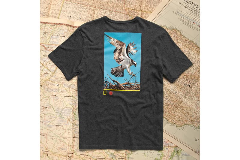 National Geographic Element Fall Winter 2019 Collection fall winter tee skateboard deck crew neck photography photographs elements earth wind fire water spirit animals 