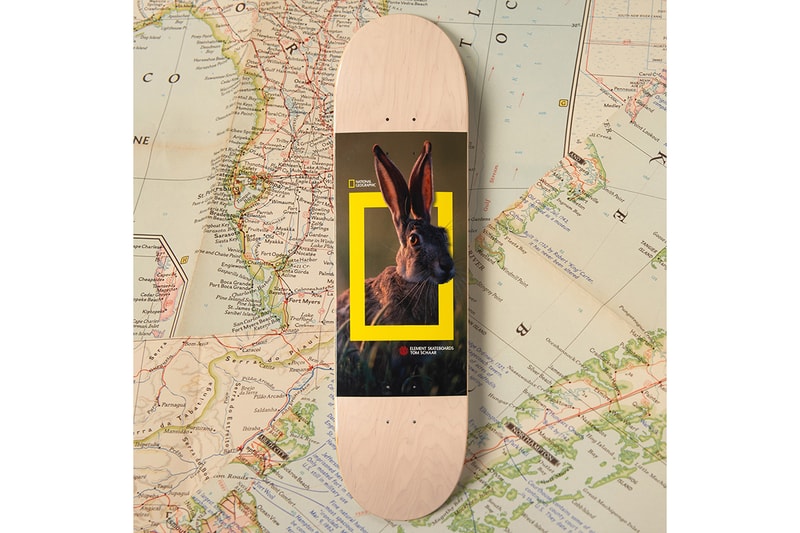 National Geographic Element Fall Winter 2019 Collection fall winter tee skateboard deck crew neck photography photographs elements earth wind fire water spirit animals 