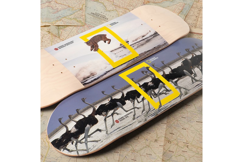 National Geographic Element Fall Winter 2019 Collection fall winter tee skateboard deck crew neck photography photographs elements earth wind fire water spirit animals 
