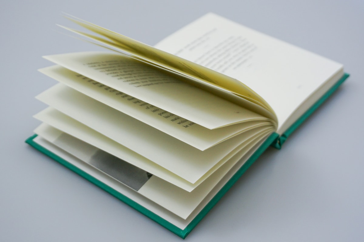 basquiatisms book larry warsh interviews artists artworks quotes