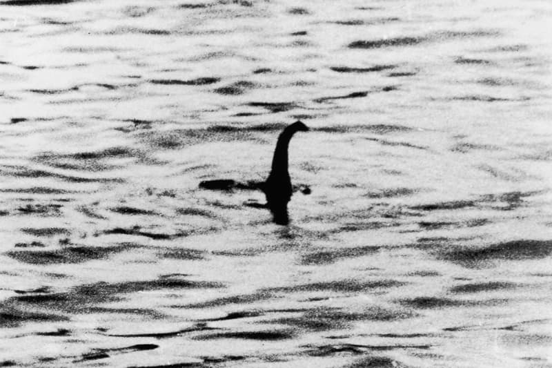Facebook Spawns Storm Loch Ness Event area 51 nessie