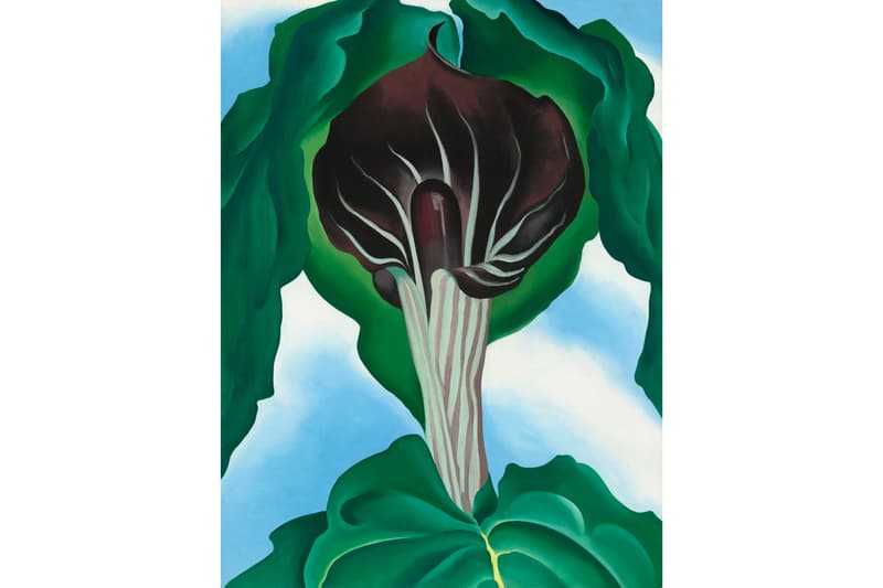 georgia o keeffe paintings artworks art artists exhibitions nevada museum of art 