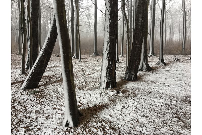 Apple iPhone Photography Awards 2019 IPPAWARDS Gabriella Cigliano Diogo Lage Yuliya Ibraeva Peng Hao Elena Bolshakova Magali Chesnel Jiangying Guo Kuanglong Zhang Shuo Chen Valeria Cammareri Clarita Phiri Beierdoerffer Neri Rivas Dan Liu Christian Horgan Erik Burdett Lenny Yueng Lianyu Lu Dyllon Wolf Sally Ann Field Wei Xiong