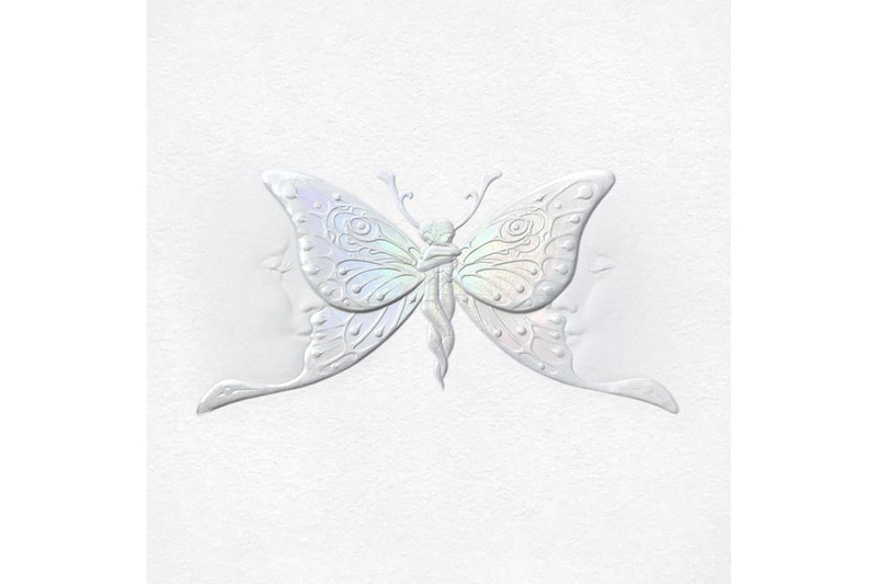 Golden Butterflies Girls Flowers Blue Pink Purple Red Green Yellow Orange Net 