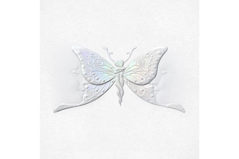 Golden Butterflies Girls Flowers Blue Pink Purple Red Green Yellow Orange Net