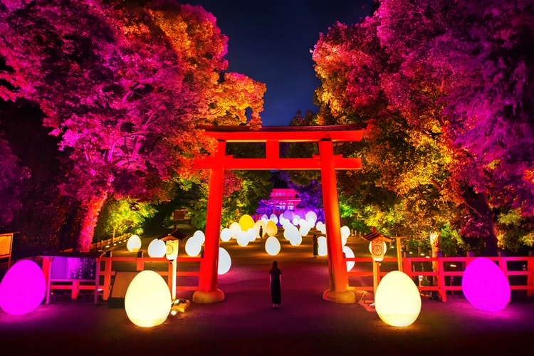 teamLab to Return to Kyoto's Shimogamo Shrine With "Digitized Forest" Exhibition