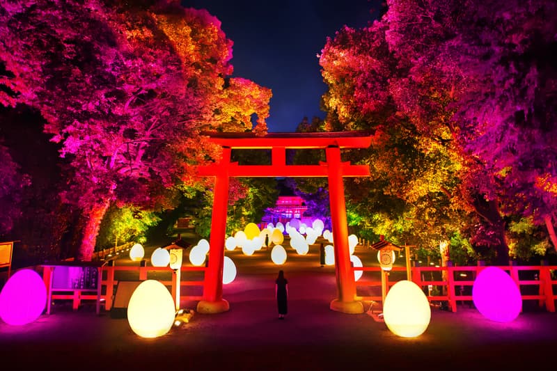 teamlab shimogamo shrine kyoto digitized forest nature art exhibition world heritage site 