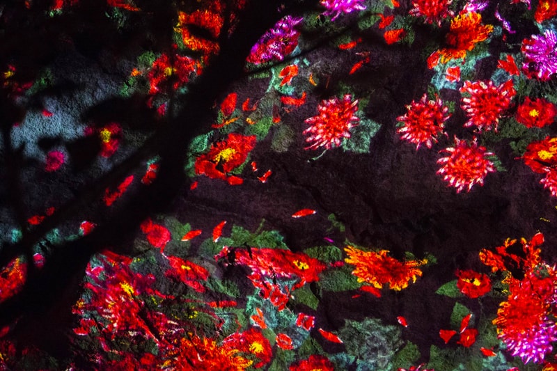 teamLab Mifuneyama Rakuen Park Immersive Exhibition A Forest Where Gods Live humans nature interactions Floating Resonating Lamps Drawing on the Water Surface Created by the Dance of Koi and Boats Ever Blossoming Life Rock Universe of Water Particles on a Sacred Rock The Floating Tree