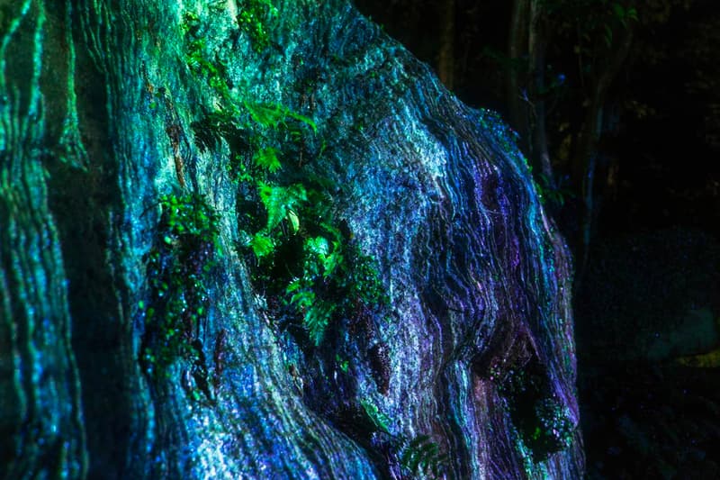 teamLab Mifuneyama Rakuen Park Immersive Exhibition A Forest Where Gods Live humans nature interactions Floating Resonating Lamps Drawing on the Water Surface Created by the Dance of Koi and Boats Ever Blossoming Life Rock Universe of Water Particles on a Sacred Rock The Floating Tree
