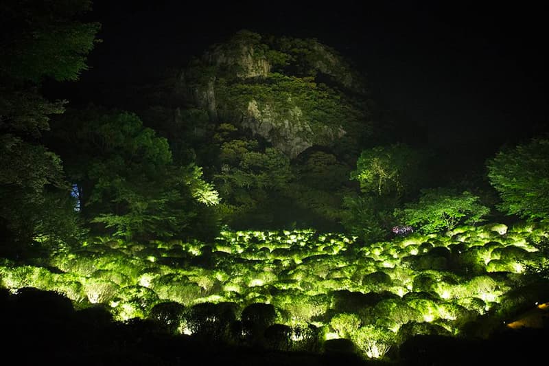 teamLab Mifuneyama Rakuen Park Immersive Exhibition A Forest Where Gods Live humans nature interactions Floating Resonating Lamps Drawing on the Water Surface Created by the Dance of Koi and Boats Ever Blossoming Life Rock Universe of Water Particles on a Sacred Rock The Floating Tree