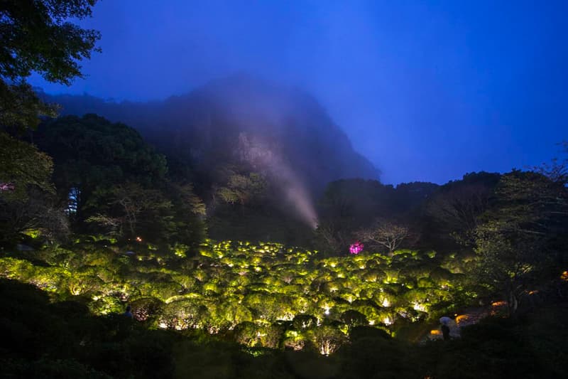 teamLab Mifuneyama Rakuen Park Immersive Exhibition A Forest Where Gods Live humans nature interactions Floating Resonating Lamps Drawing on the Water Surface Created by the Dance of Koi and Boats Ever Blossoming Life Rock Universe of Water Particles on a Sacred Rock The Floating Tree