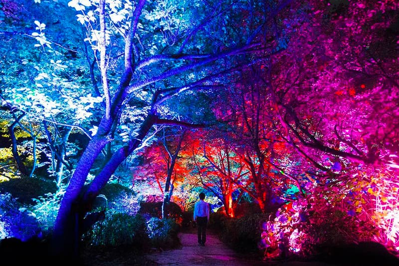 teamLab Mifuneyama Rakuen Park Immersive Exhibition A Forest Where Gods Live humans nature interactions Floating Resonating Lamps Drawing on the Water Surface Created by the Dance of Koi and Boats Ever Blossoming Life Rock Universe of Water Particles on a Sacred Rock The Floating Tree