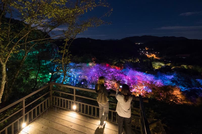 teamLab Mifuneyama Rakuen Park Immersive Exhibition A Forest Where Gods Live humans nature interactions Floating Resonating Lamps Drawing on the Water Surface Created by the Dance of Koi and Boats Ever Blossoming Life Rock Universe of Water Particles on a Sacred Rock The Floating Tree