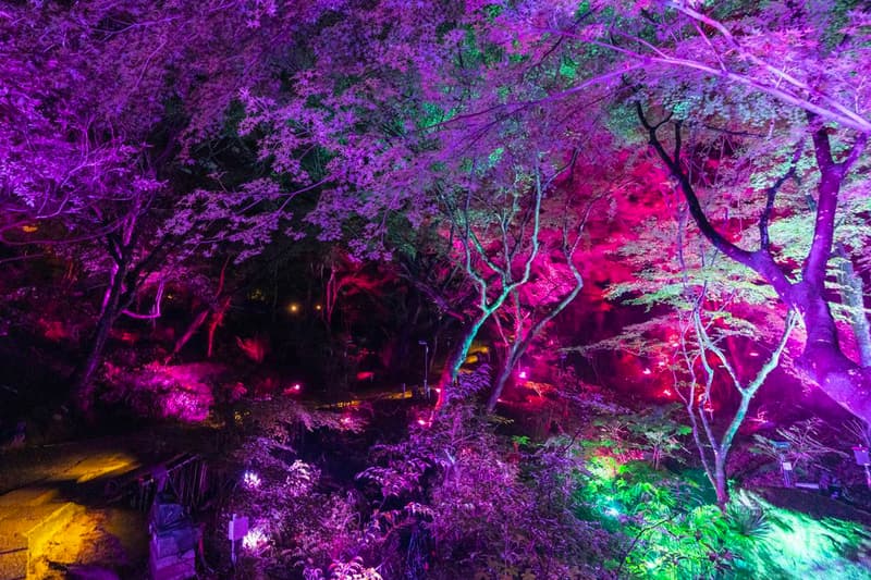 teamLab Mifuneyama Rakuen Park Immersive Exhibition A Forest Where Gods Live humans nature interactions Floating Resonating Lamps Drawing on the Water Surface Created by the Dance of Koi and Boats Ever Blossoming Life Rock Universe of Water Particles on a Sacred Rock The Floating Tree